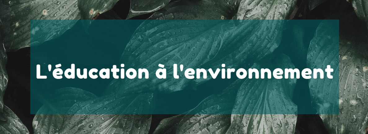 éduquer à l'environnement par des ateliers pour les enfants